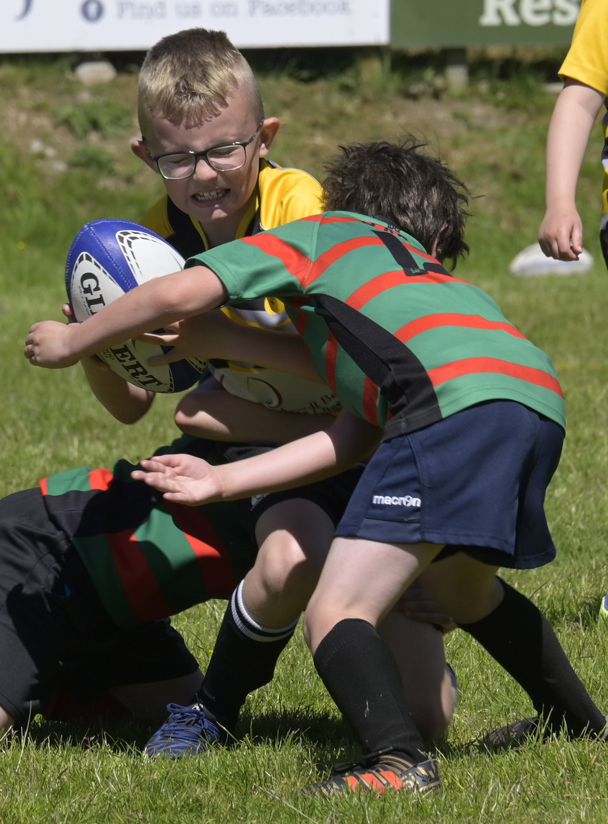 West Coast Today - News - Young rugby players shine at Banavie tournament