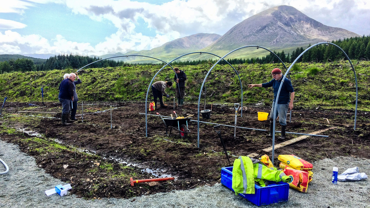 Volunteer medals for West Coast shed, paper and garden