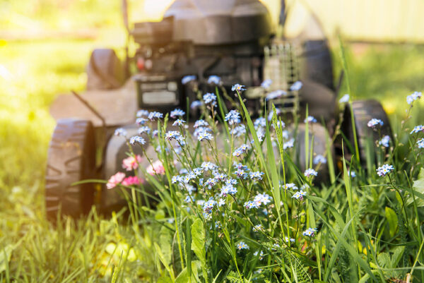 Councillors to consider reducing lawnmower use