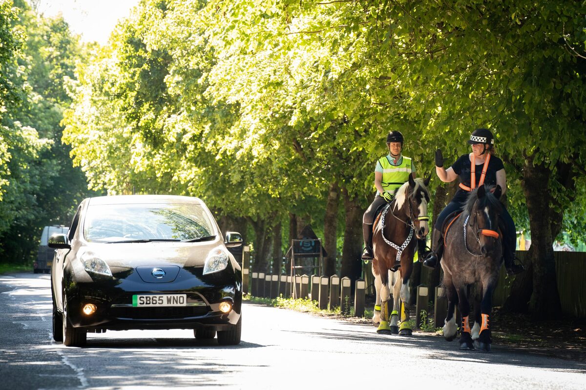 Horses can hear EVs before the rider