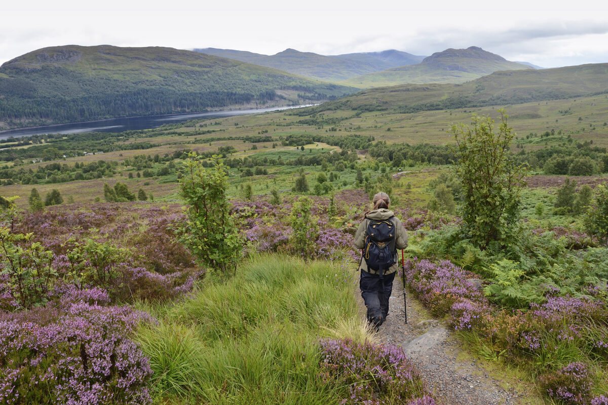 Walkers urged to check for stalking before heading to the hills