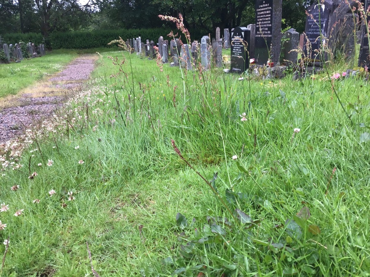 Council slammed over 'weed-filled jungle' that is Duror Cemetery