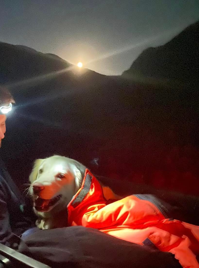 Dog stretchered off Ben Nevis during scorching conditions