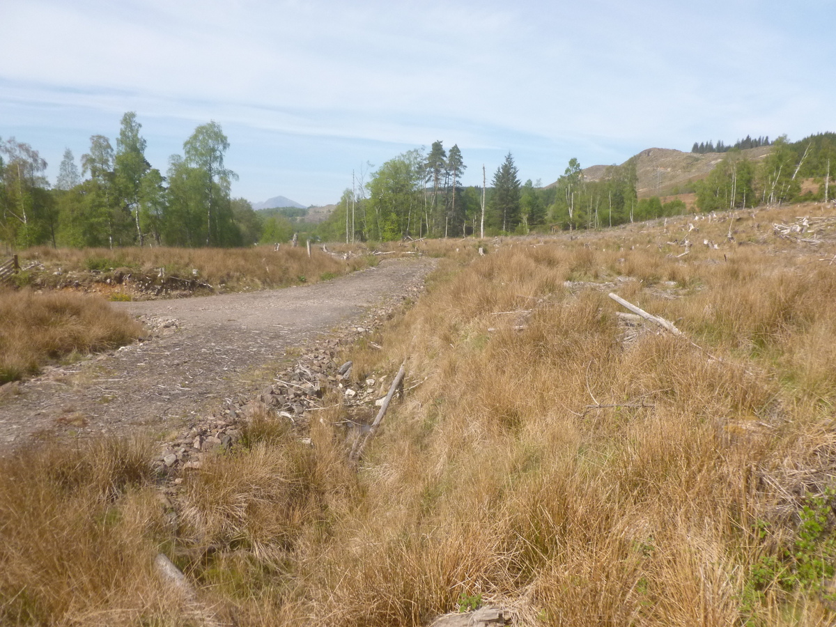 Land secured for woodland croft repopulation project in Glengarry 