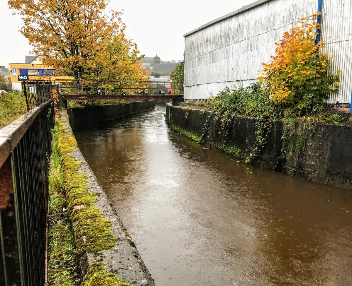 Concern as rats run amok in Oban