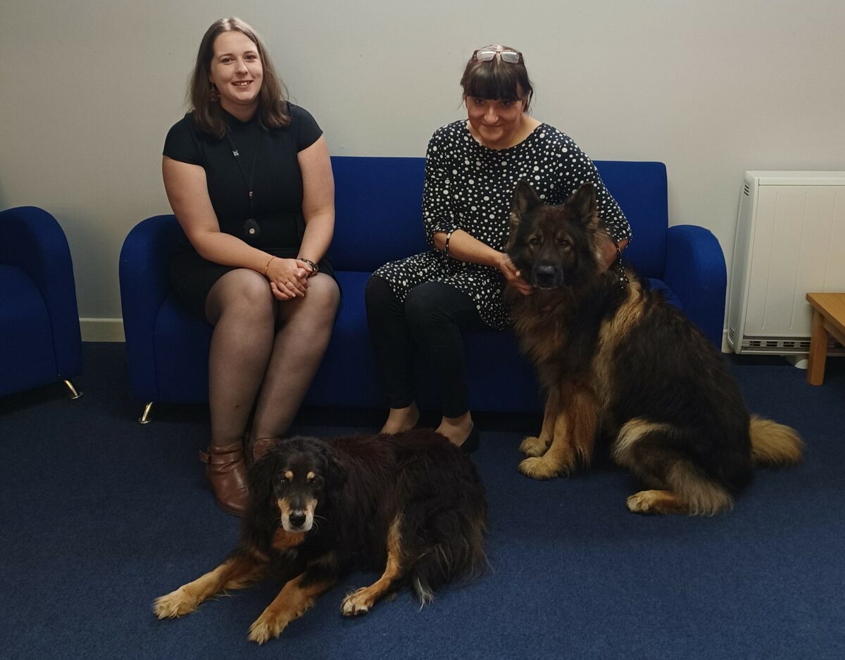 High praise for Plantation residents ahead of big day out