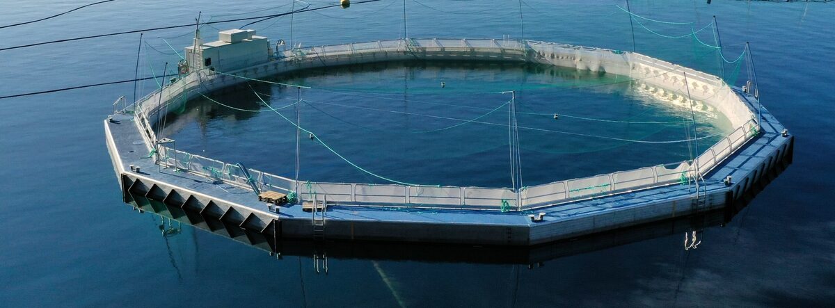 Fish farm appeals against 'flawed' rejection