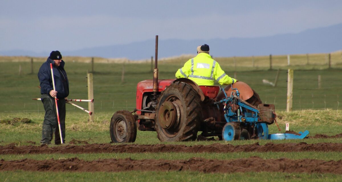Record entries for ploughing match