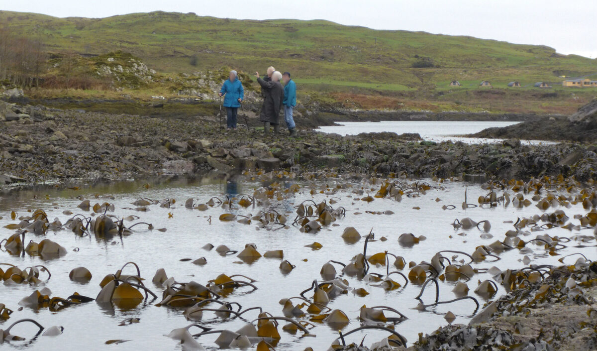 Anti-causeway campaigners demand Marine Scotland meeting