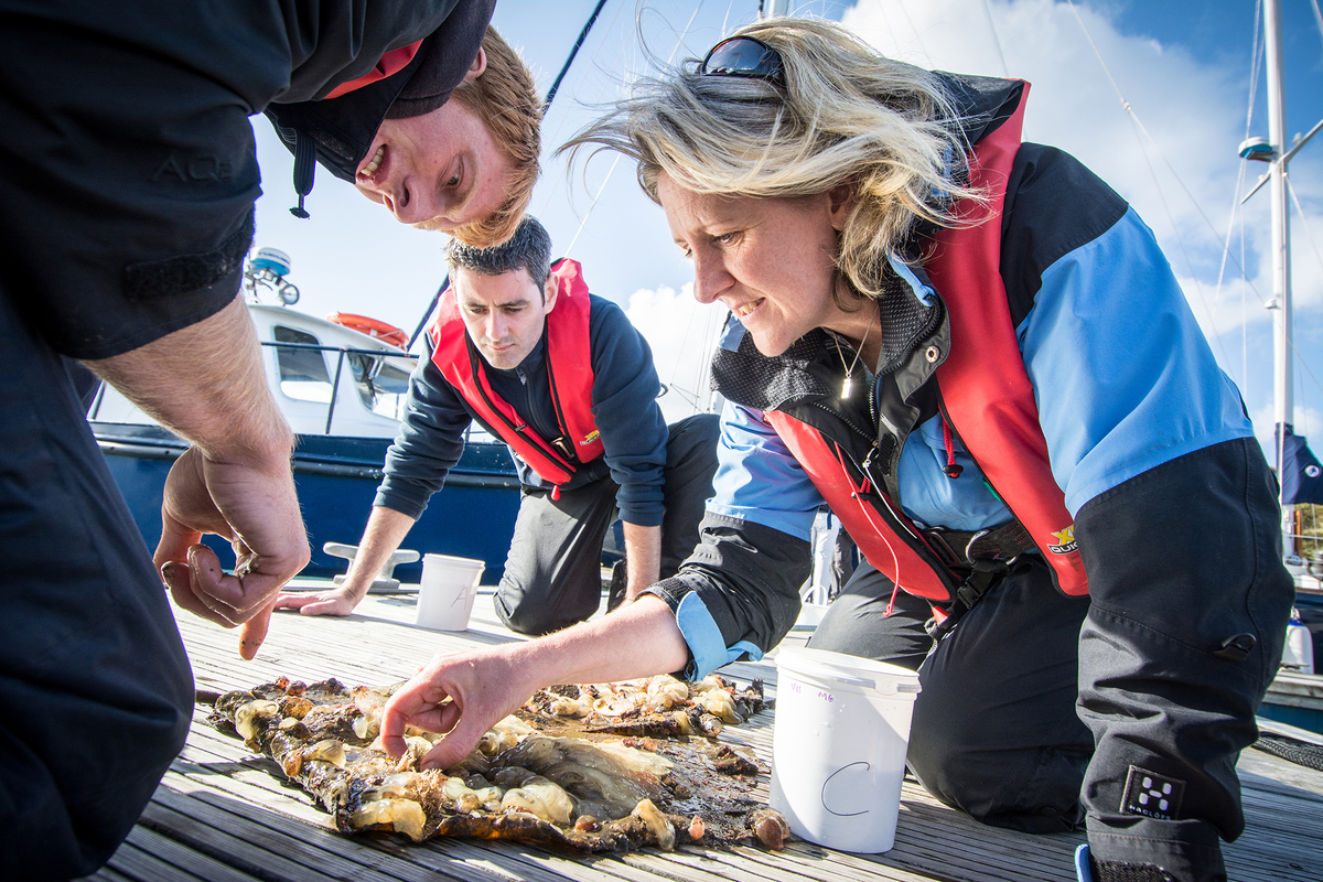 SAMS aquaculture researcher wins ‘outstanding contribution’ award