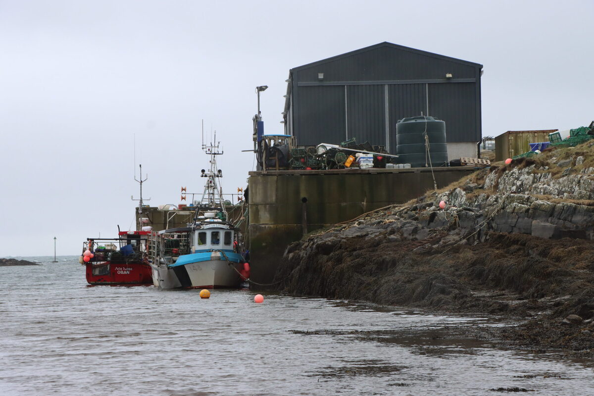 New First Minister urged to bin fishing ban, as Greens list its benefits