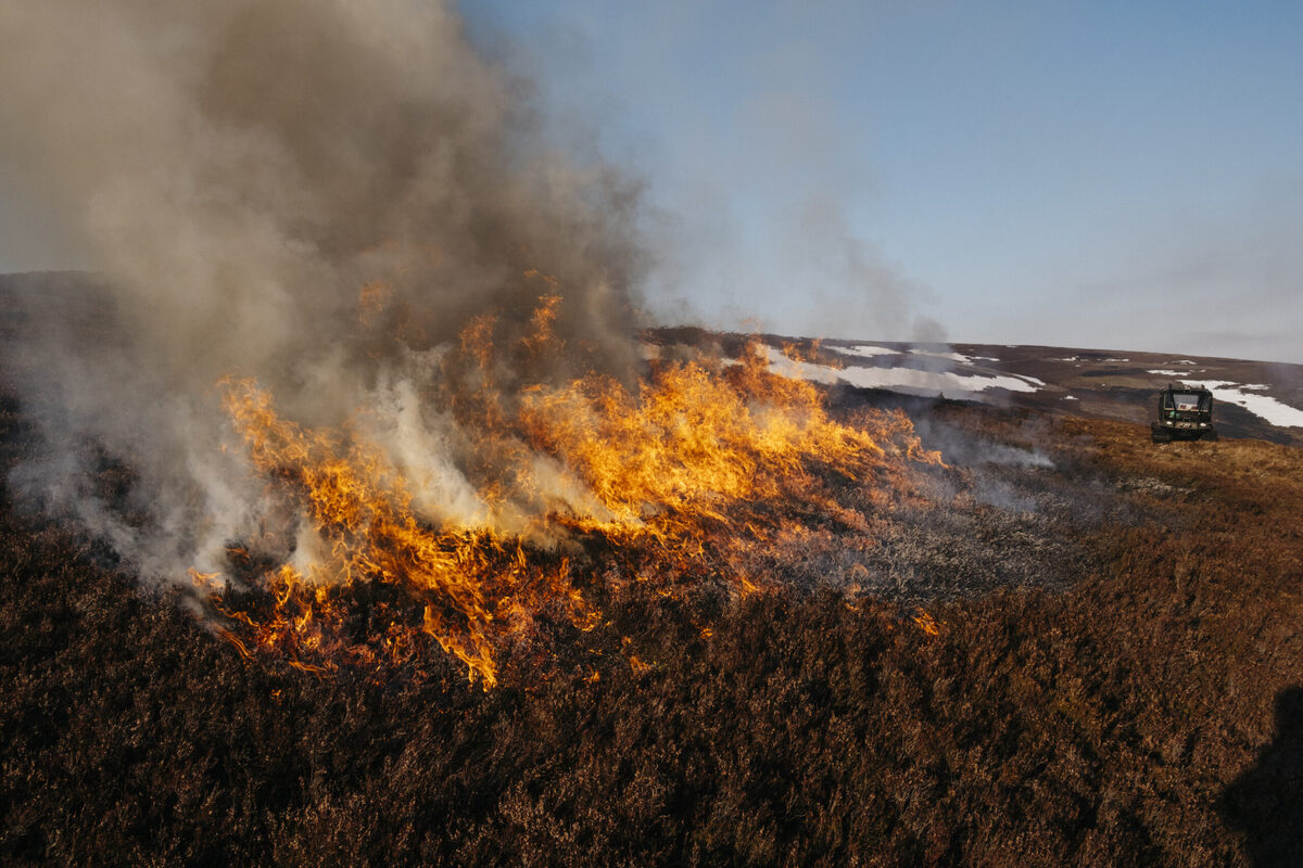 New laws stamp down on wildlife traps and muirburn