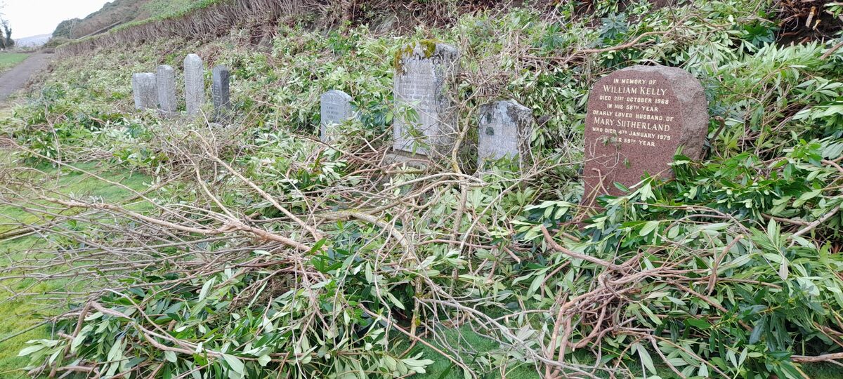 Man saddened to find cuttings “heaped over” parents' gravestone