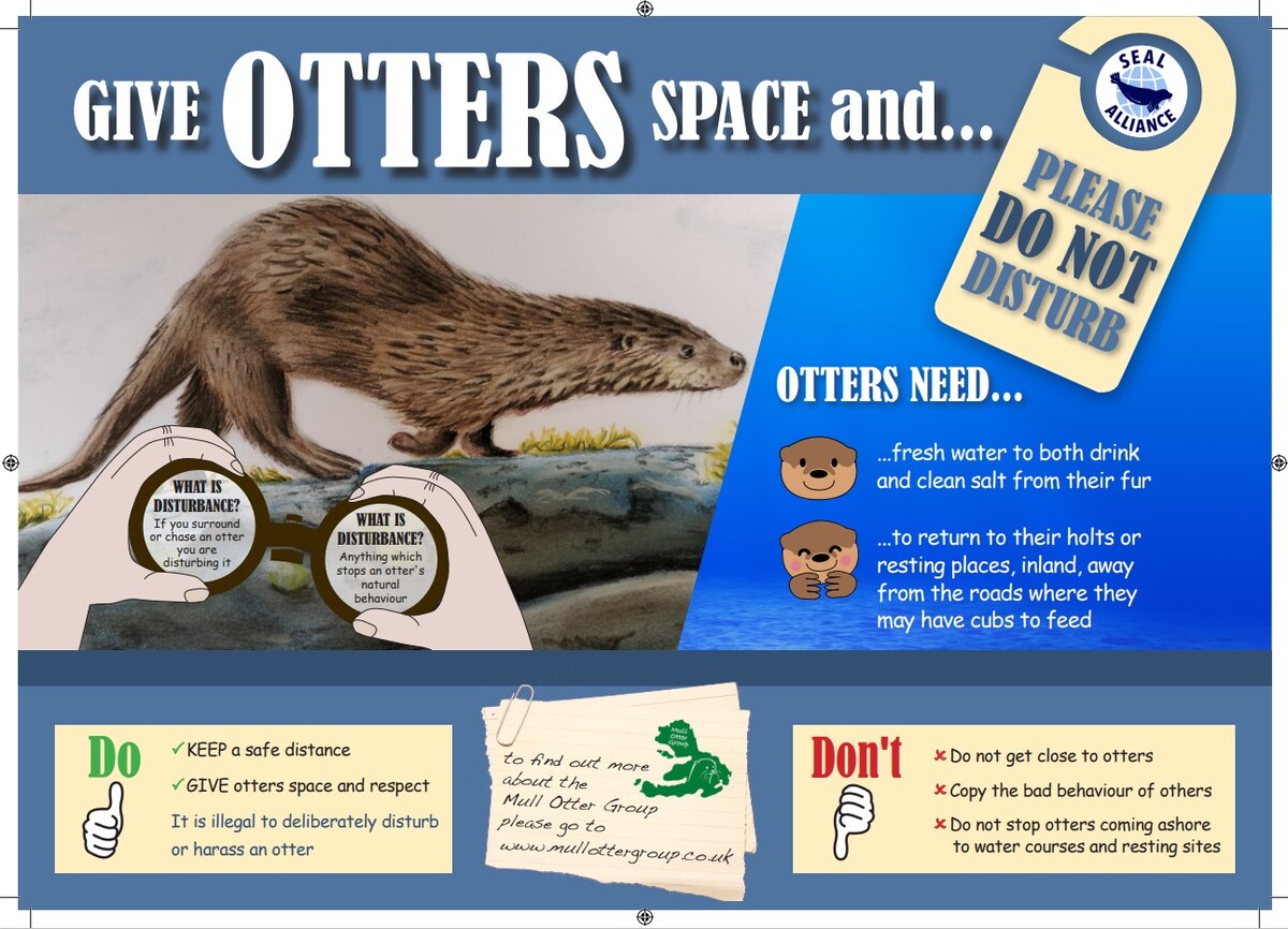 Respect Mull's otters