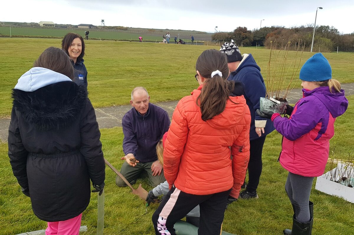 Community groups get stuck in to help with tree planting