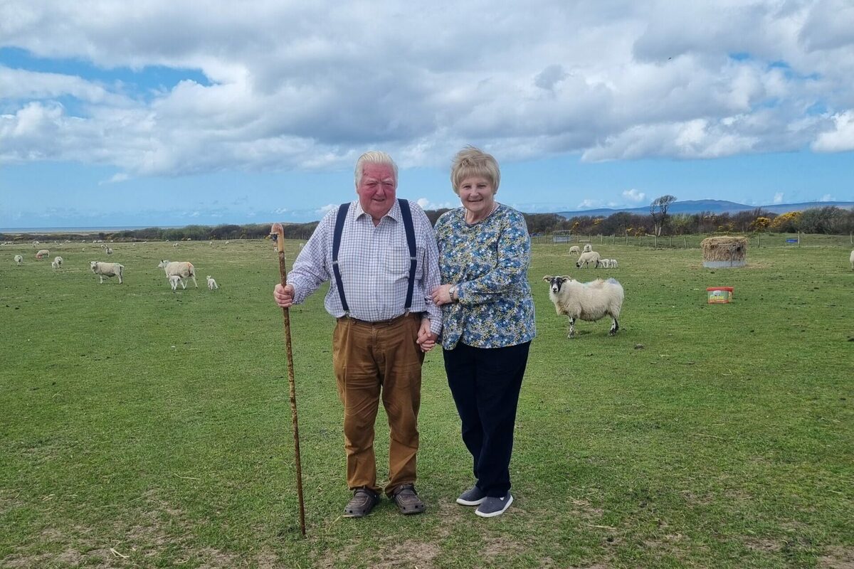 Quintuplet lambs born on Islay