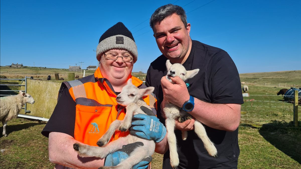 Lambing season for crofter Sweeny