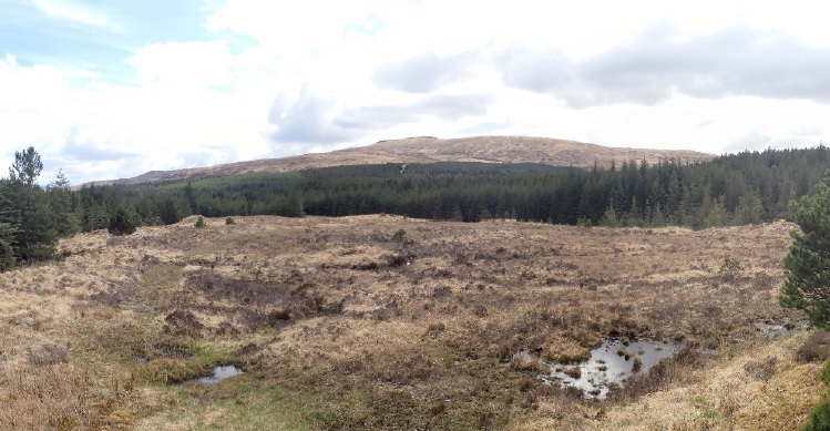 Plans to restore 500ha of Mull peatland