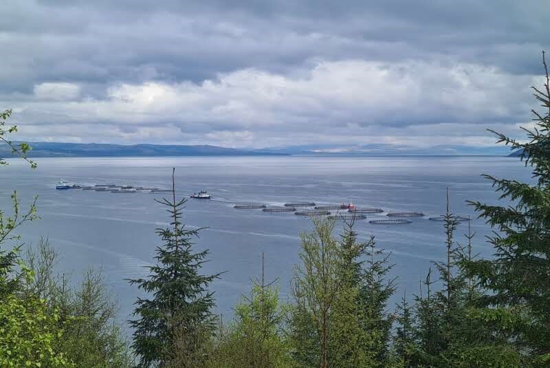 Councillors call for public hearing over Carradale fish farm proposals