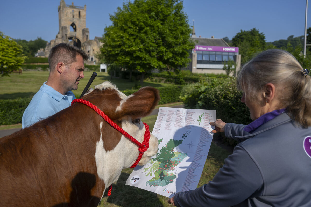 New map gets people on the moo-ve around Scotland