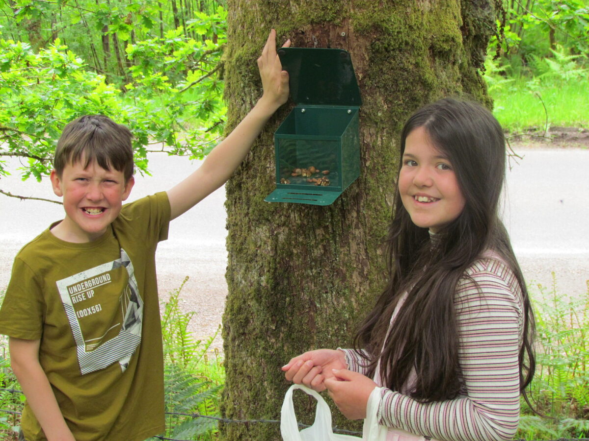 Saving Portsonachan's red squirrels