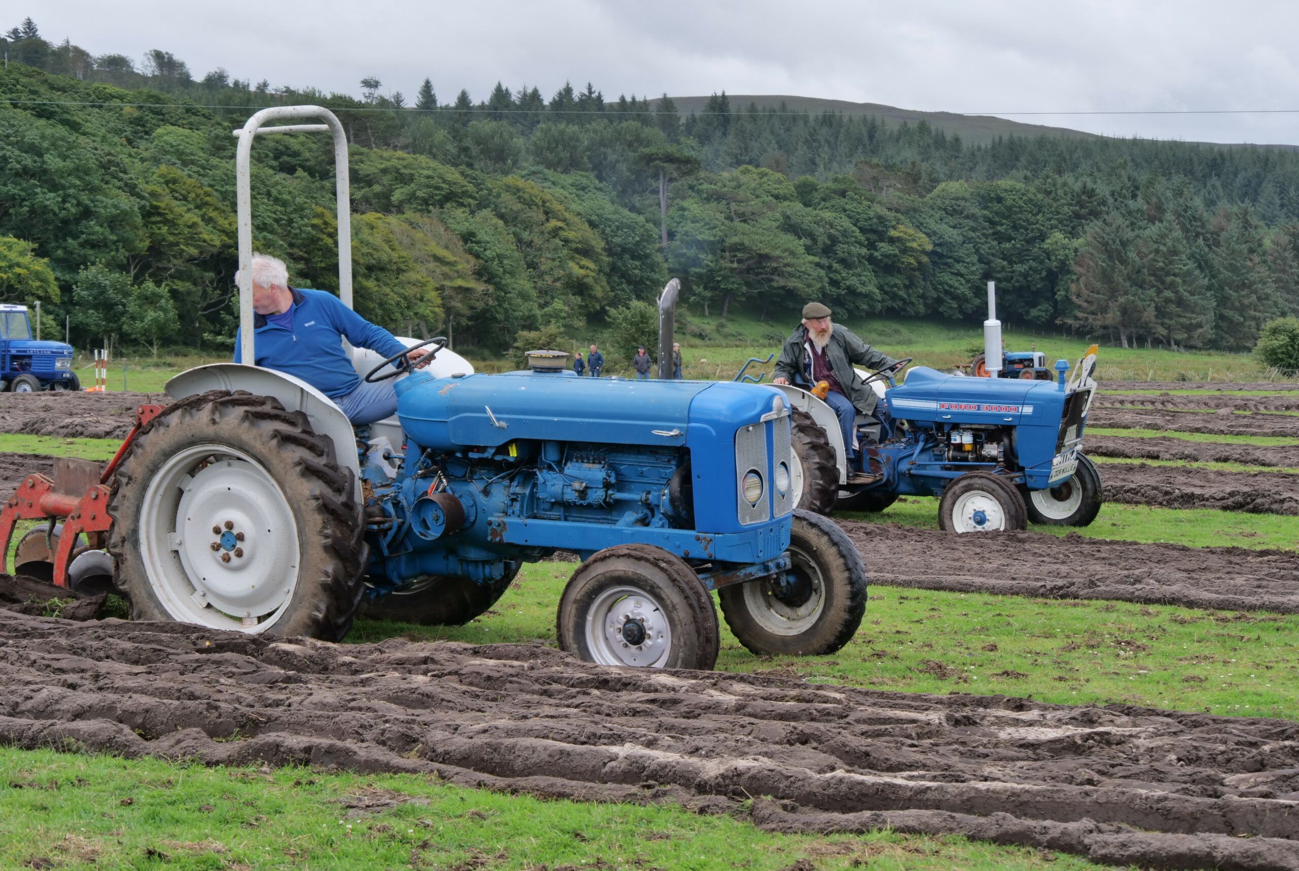 Willie crowned Largieside Ploughing Match winner