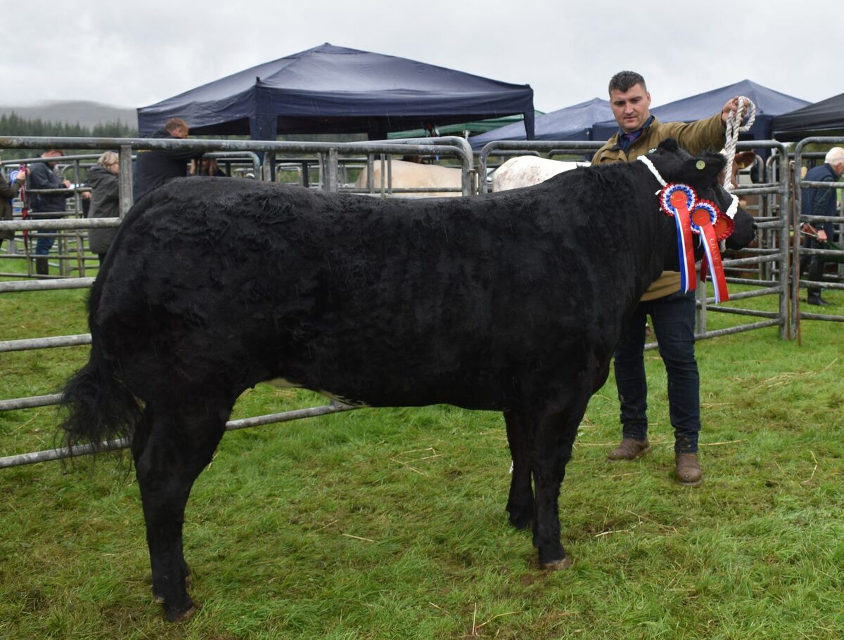 Lochaber Agricultural Show results