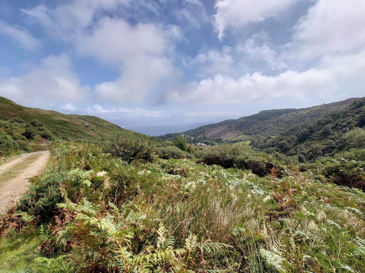 Heather’s Treks: Beinn an Tuirc: ‘Hill of the Wild Boar’