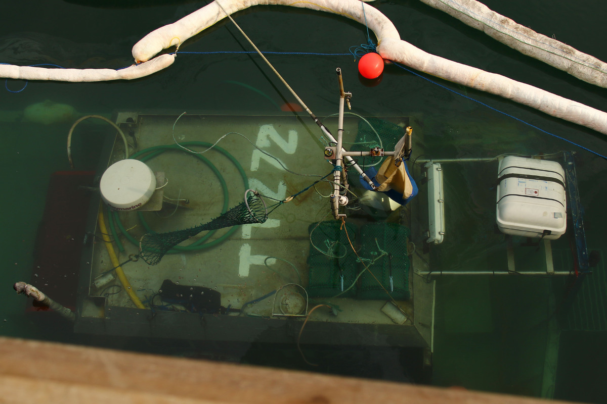 Snagged rope could have sunk the Flying Fish