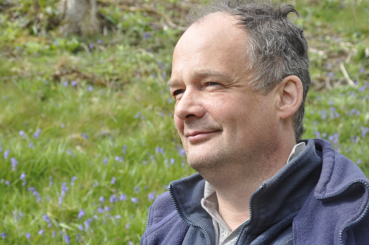 Estate plants native forest to save Mull's natural world