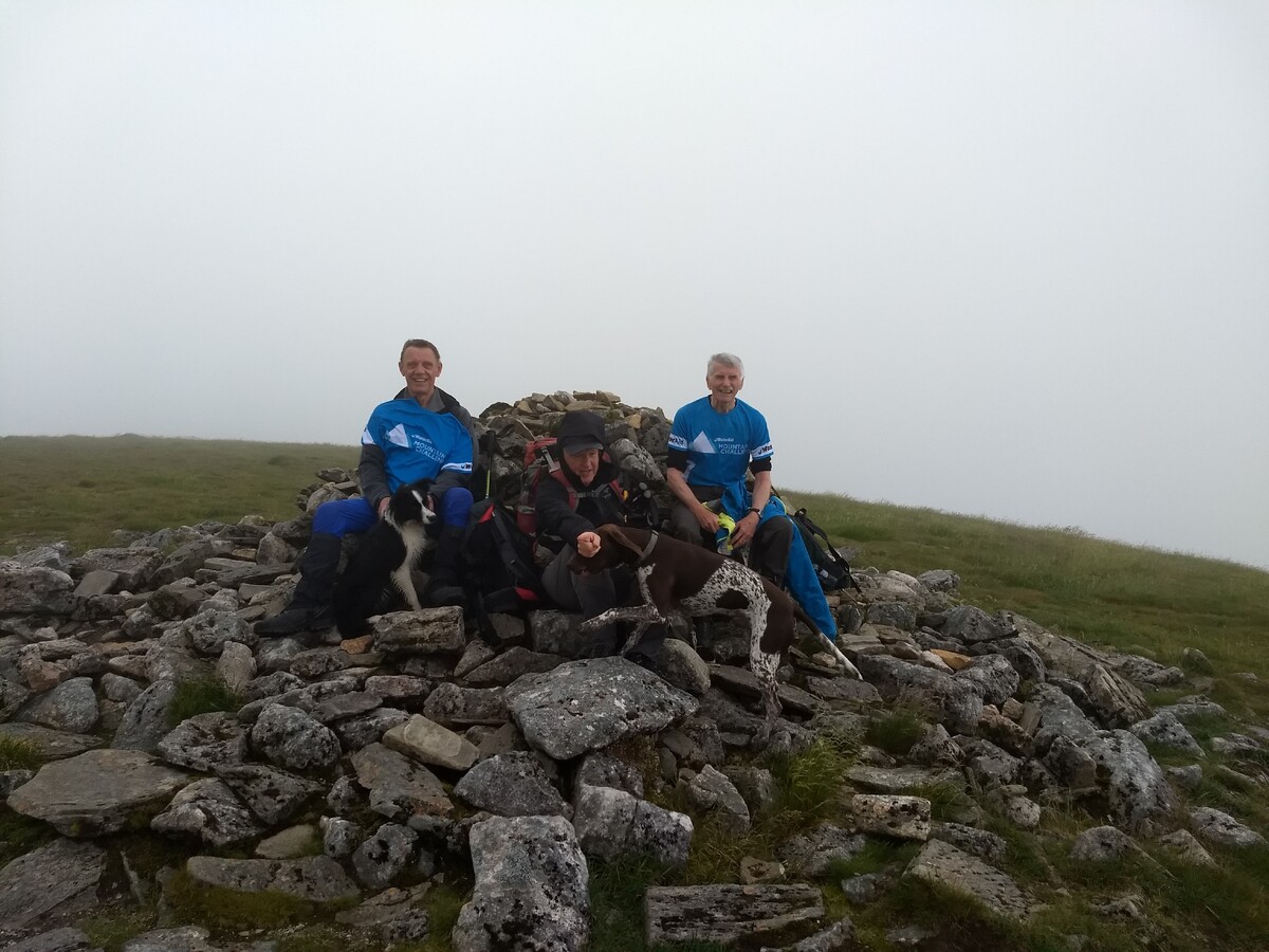 Four men and their dogs went to climb a mountain