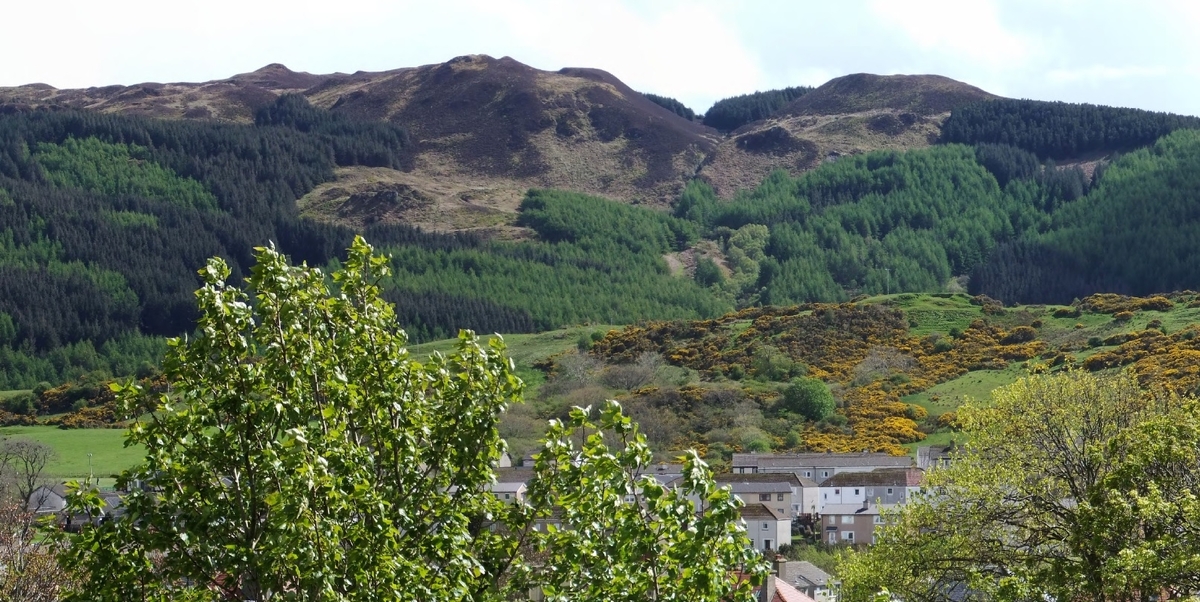 Devastation as tree disease closes Beinn Ghuilean trails