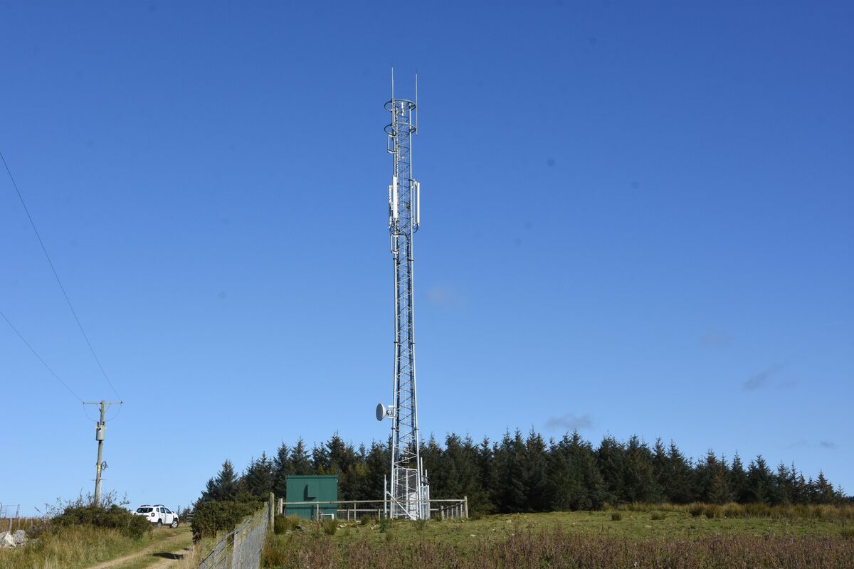 01B40mast01jpg