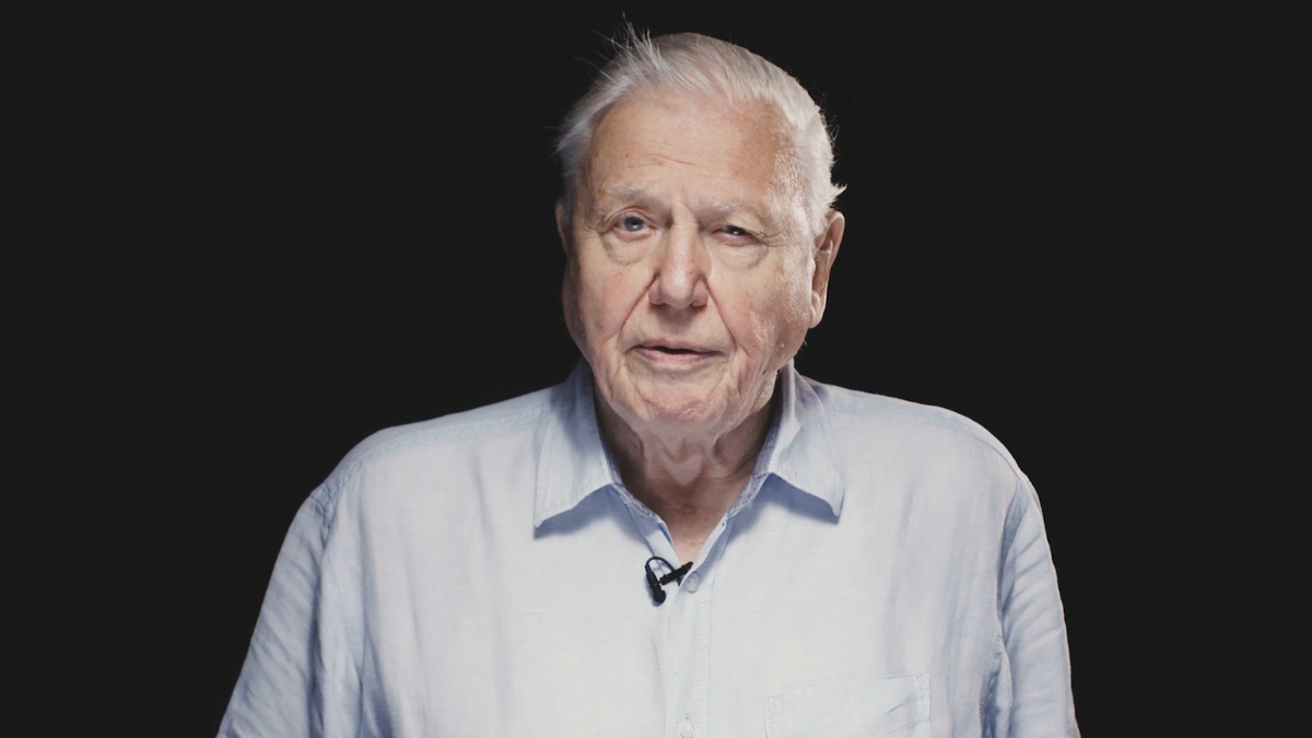 Sir David backs Scottish nature campaign