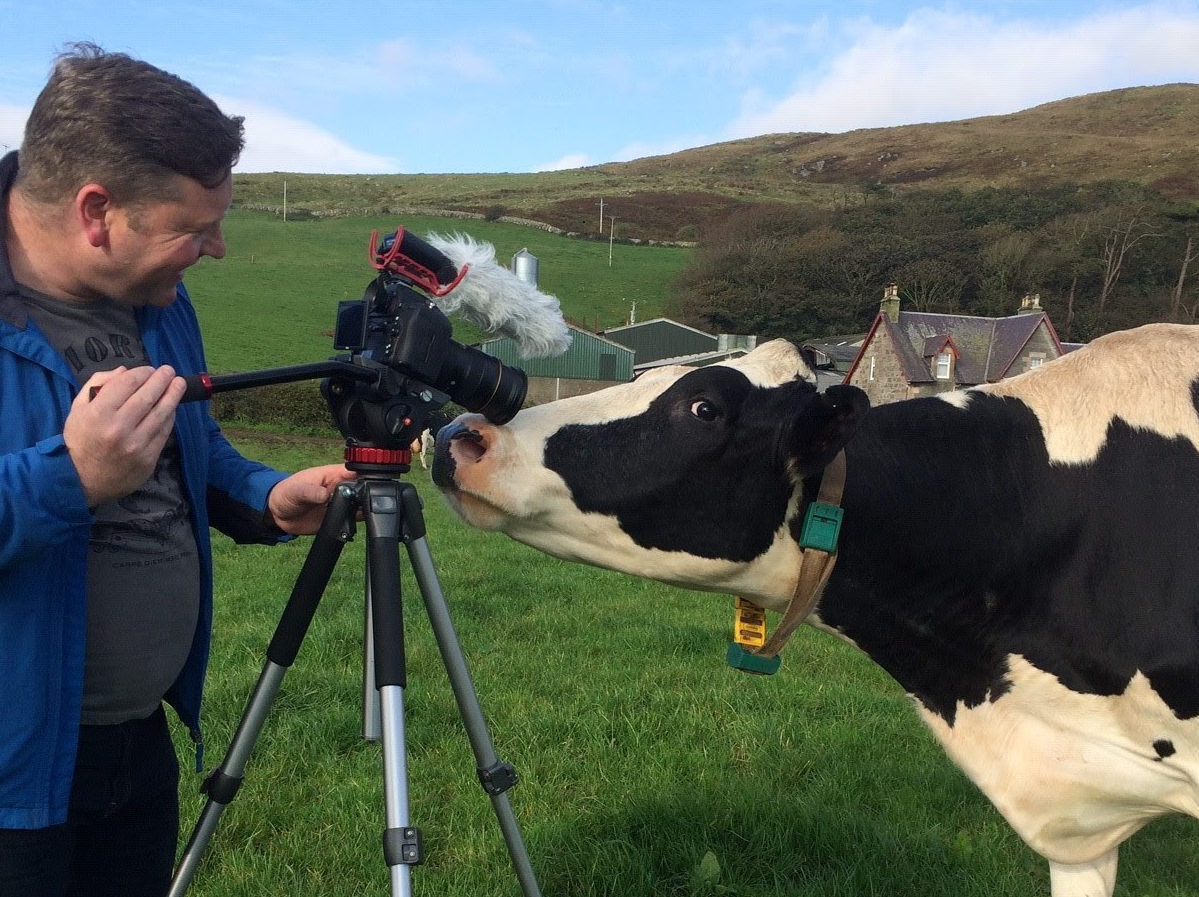 Creamery coup in the pipeline for Kintyre farmers