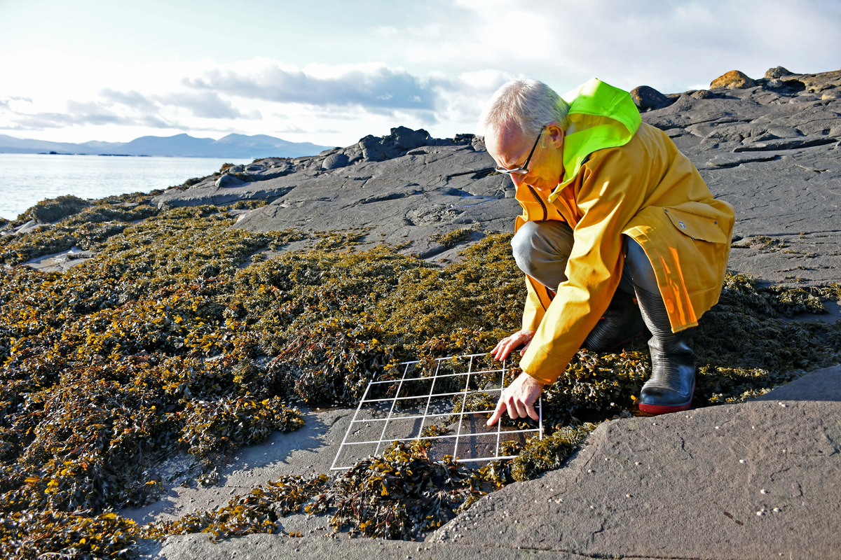 Below the surface with SAMS - January 2020