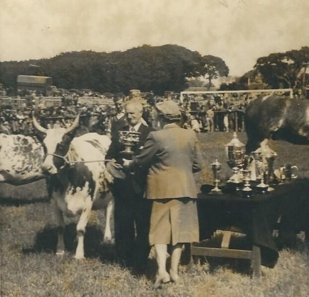 NOC33KintyreShow1952TYoungGlen