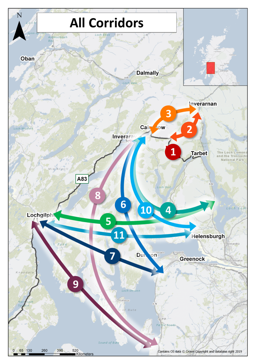 noa4011optionsTransScot01png