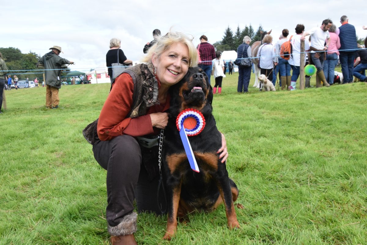 51a33MAS23dogchampion2jpg