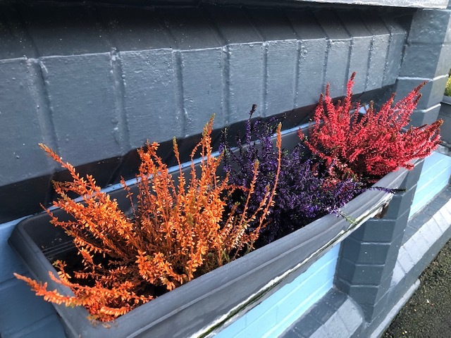 NOT03whereisthiswindowboxesjpg