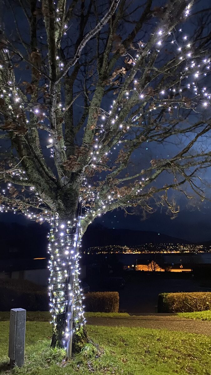 NO02FairylightsatCorpachlookin