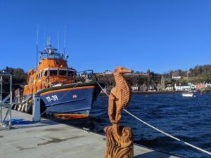 NOT08seahorsecaraving02300x225