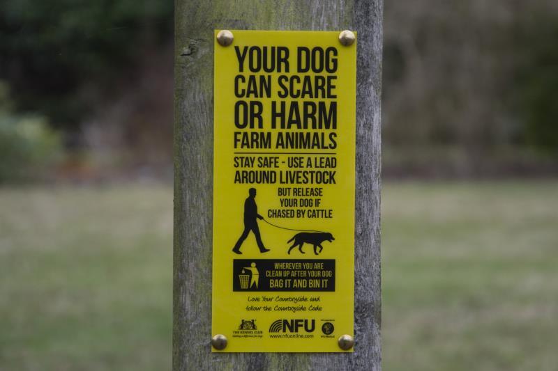 Calls for dogs to be kept on a lead in the countryside