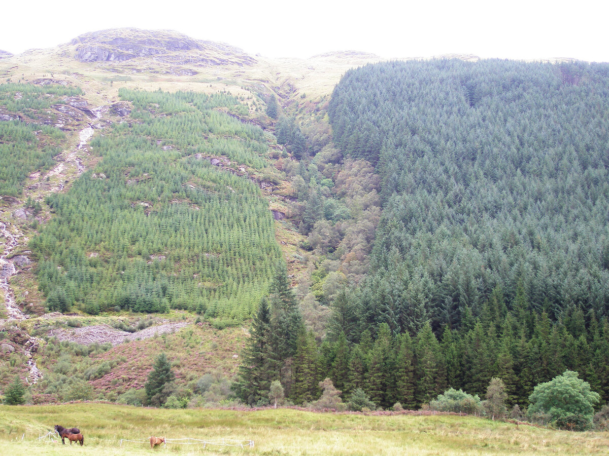 NOT20outdoorsArainforestisland