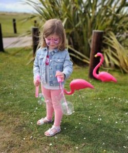 NOc20flamingos02250x300jpg