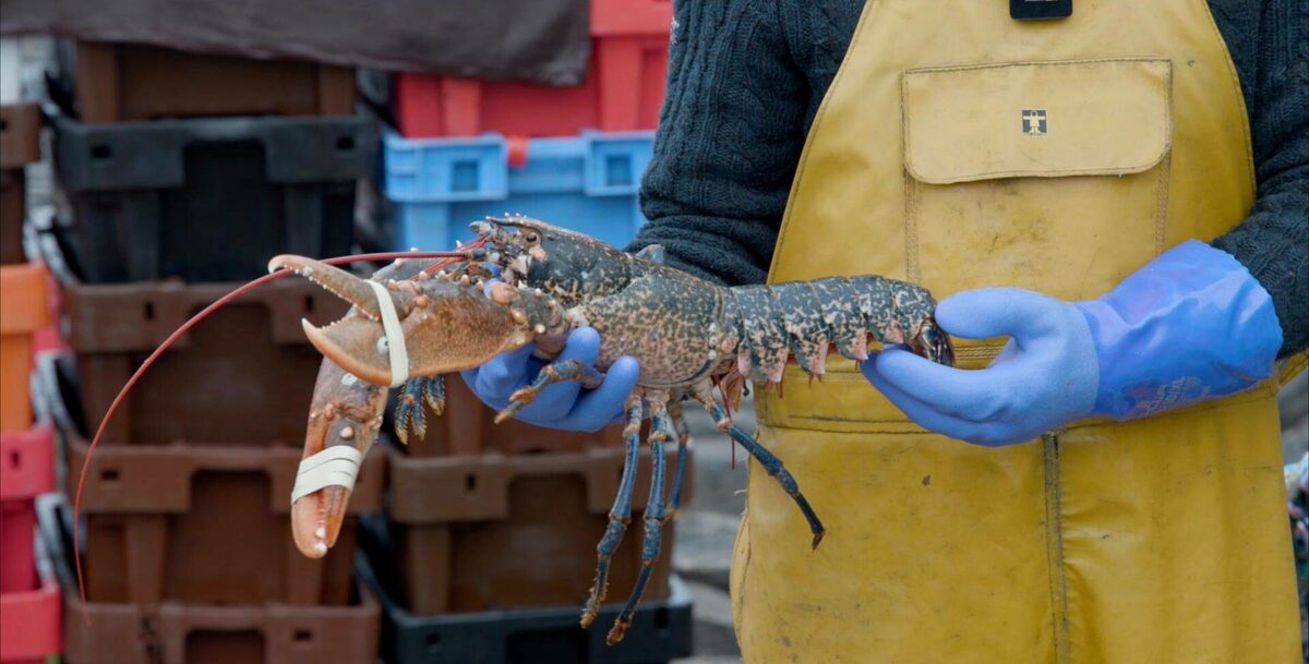 Mull and Iona step up to plate to promote local seafood