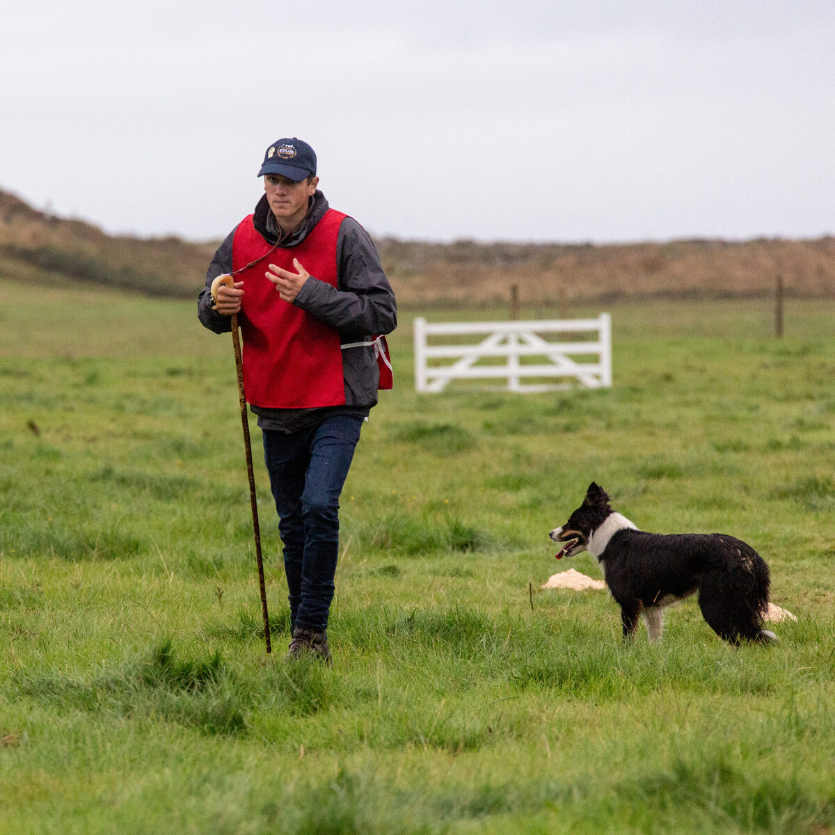 Clean run in Wales for Freddy and Nelly