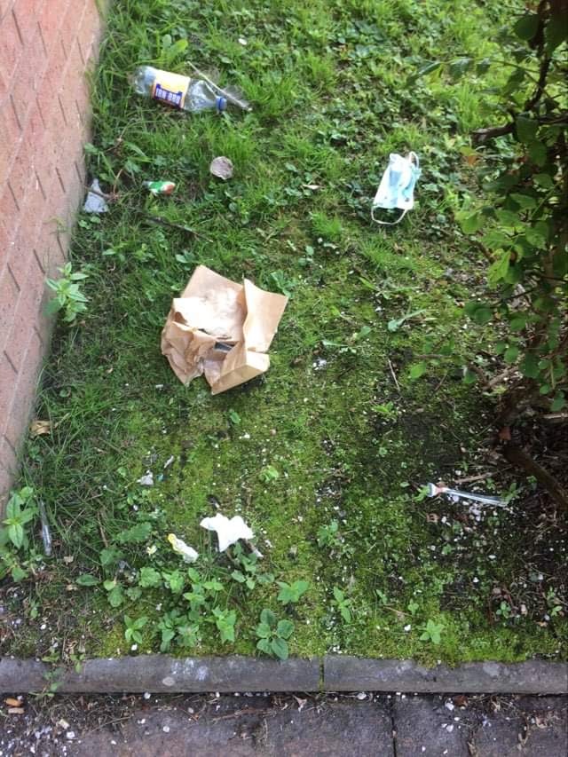 NOT39litter04jpg
