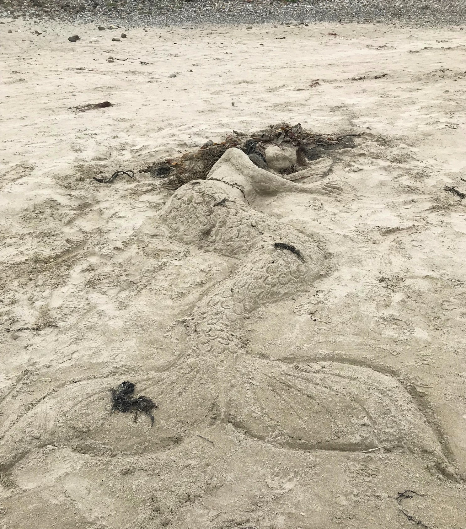 Photograph of the Week, September 10 2021