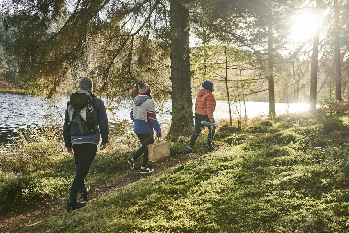 Walking in woodlands can aid mental health